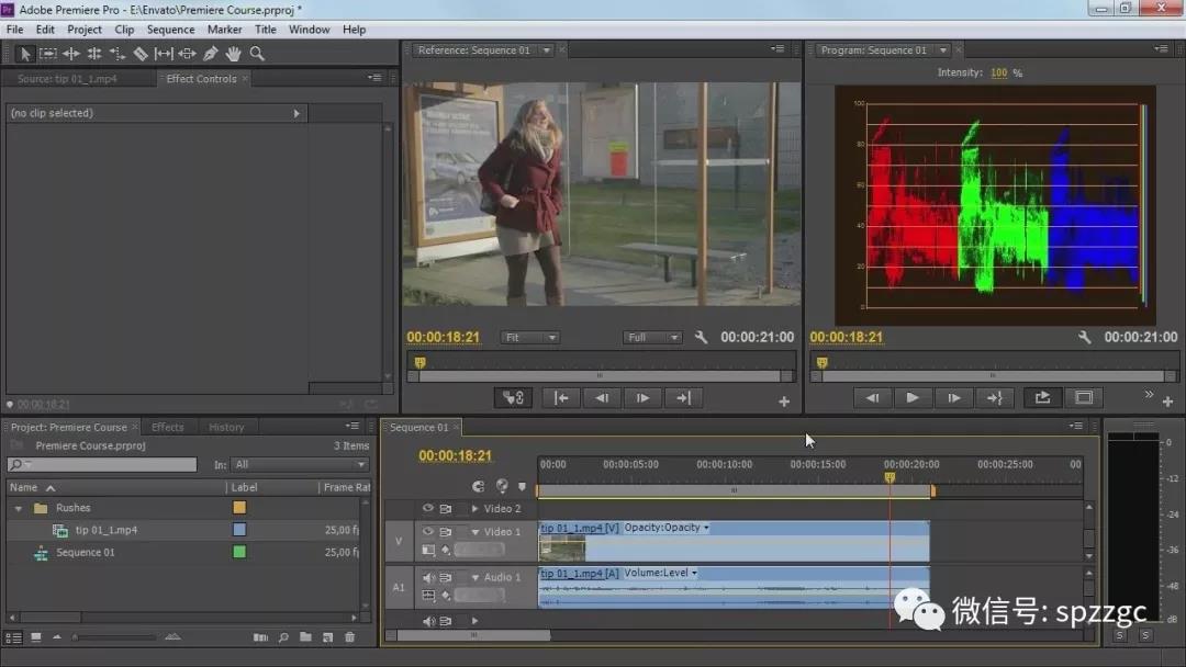 Premiere Pro先进视频编辑技术-视频教程-2