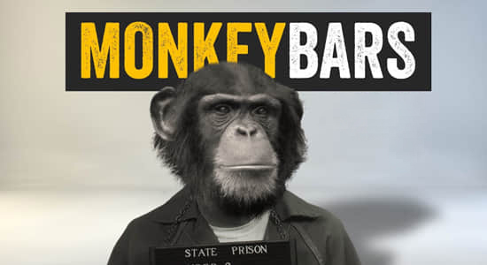 monkeybars.jpg