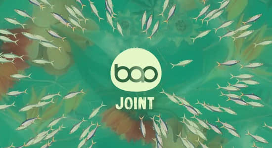 BAO-Joint-.jpg