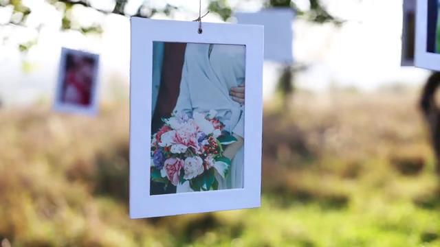 实拍+后期，阳光明媚的树枝上悬挂展示的婚礼照片-1