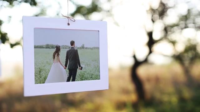 实拍+后期，阳光明媚的树枝上悬挂展示的婚礼照片-3
