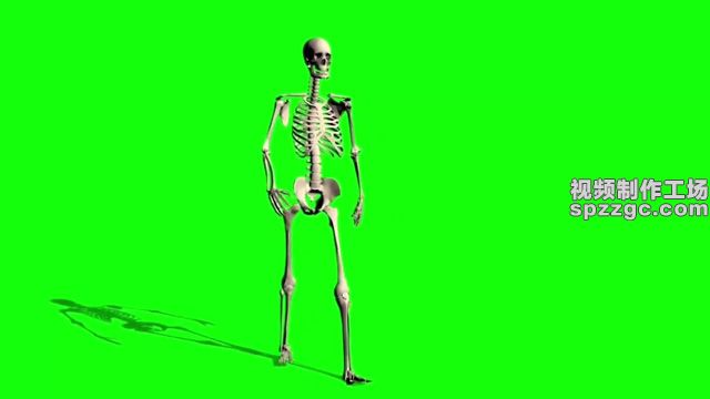 骷髅骨头走路散步绿屏素材绿幕素材-1