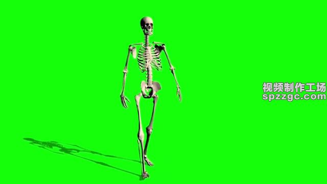 骷髅骨头走路散步绿屏素材绿幕素材-3