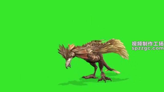 怪兽翼龙飞奔绿屏素材绿幕素材抠像-2