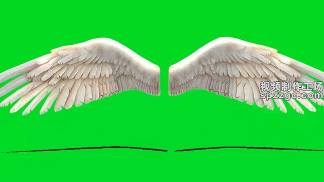 白色天使翅膀展翅绿屏素材绿幕素材-2