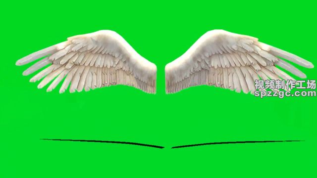 白色天使翅膀展翅绿屏素材绿幕素材-3