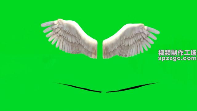 白色天使翅膀展翅绿屏素材绿幕素材-1