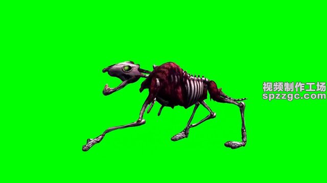 动物骷髅奔跑行走绿屏素材绿幕素材-2