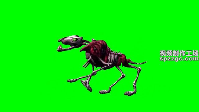 动物骷髅奔跑行走绿屏素材绿幕素材-3