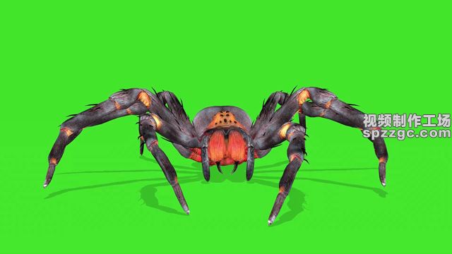 怪物大蜘蛛行走爬行绿屏素材绿幕素材-3