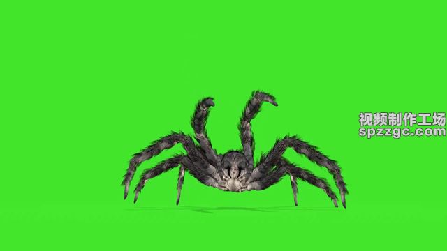 怪物大蜘蛛行走爬行绿屏素材绿幕素材-2