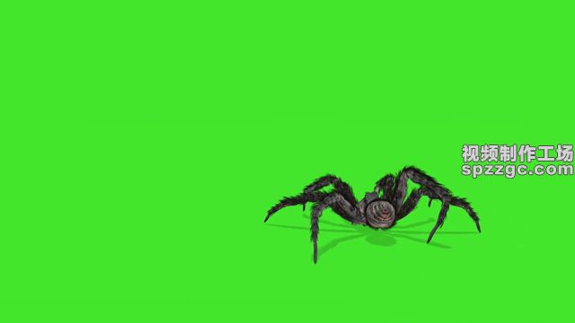 怪物大蜘蛛行走爬行绿屏素材绿幕素材-1