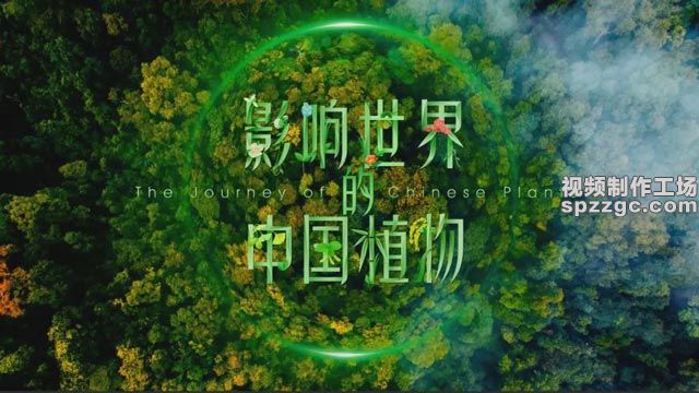 《影响世界的中国植物》背景音乐-1