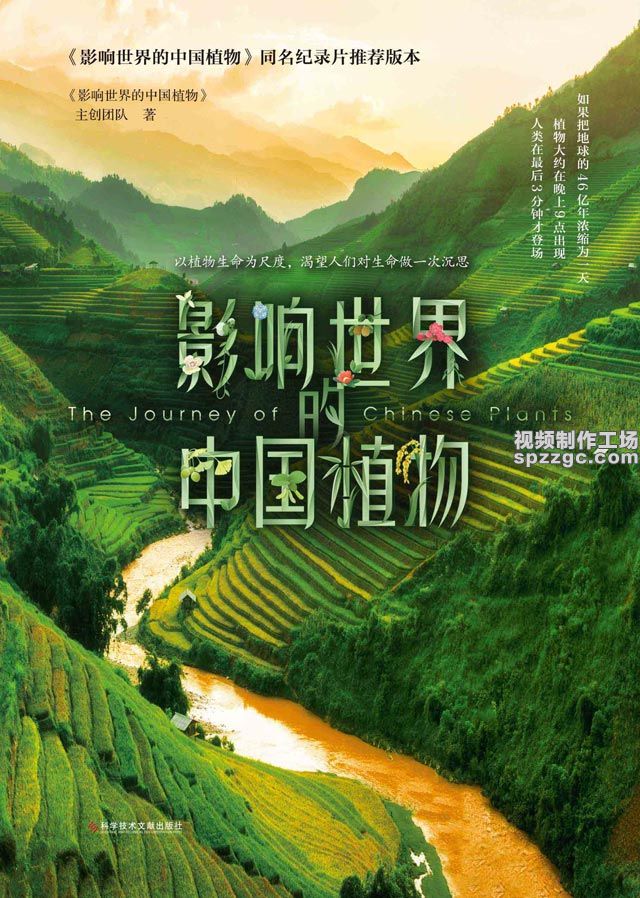 《影响世界的中国植物》背景音乐-2