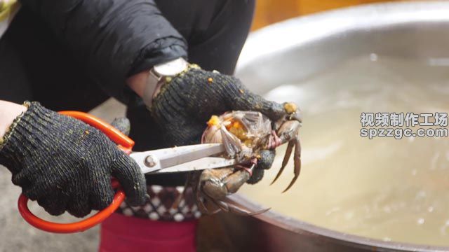 鲜活海鲜螃蟹清洗处理梭子蟹-1