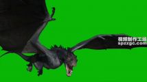 怪兽蝙蝠飞行绿屏素材绿幕素材抠像