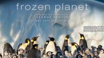 纪录片《冰冻星球》第一季Frozen Planet