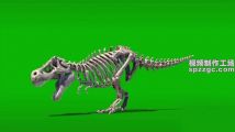 恐龙骷髅骨头怒吼绿屏素材绿幕素材