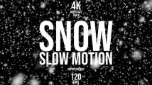 8组高帧率下雪雪花飘舞可循环视频素材 Snow 120 fps