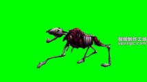 动物骷髅奔跑行走绿屏素材绿幕素材